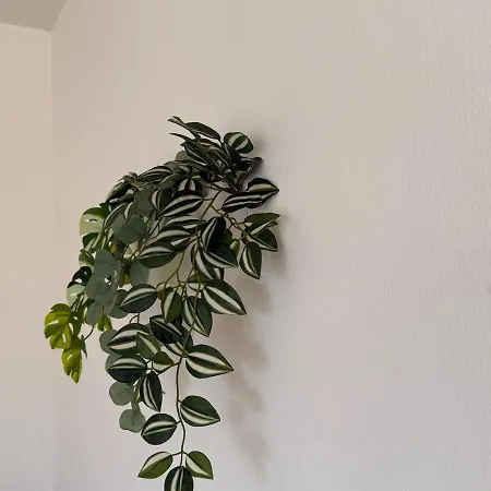 Lägenhet 100 M2 With Balcony & Free Parking Gerasdorf bei Wien